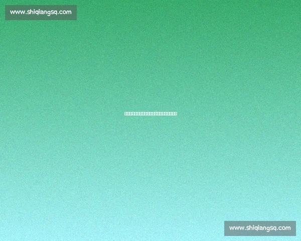 英超官方网站全面解析最新赛季战报与球星动态